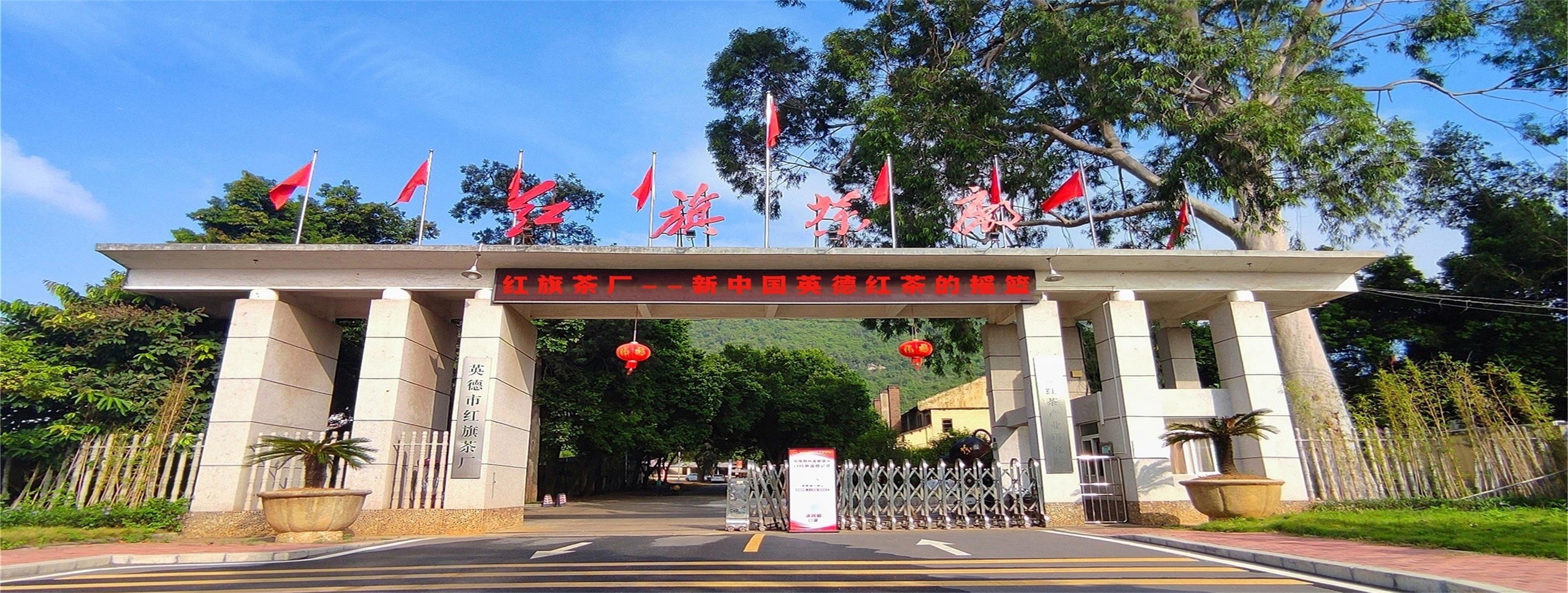 Slide Image